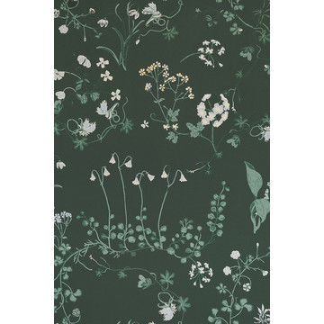 Botanica Woodland Green BG2400201