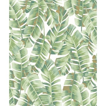 Folium BOTA 8594 73 40