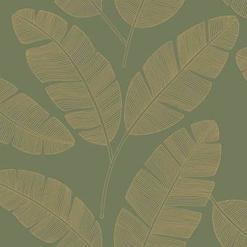 Banana Tree GCO 10110 71 42
