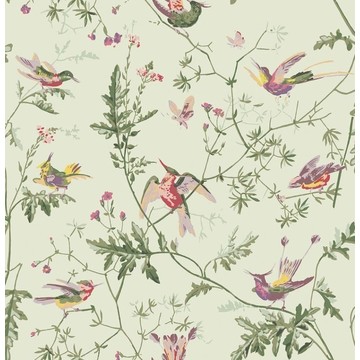 Hummingbirds 100/14070