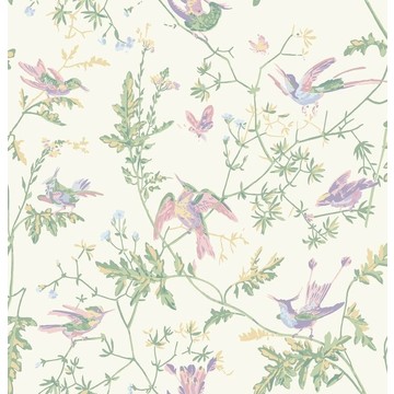 Hummingbirds 124/1001