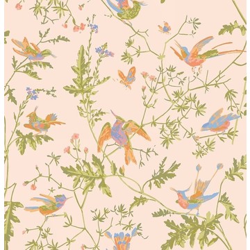 Hummingbirds 124/1002