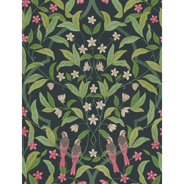Jasmine &amp; Serin Symphony 117/10028