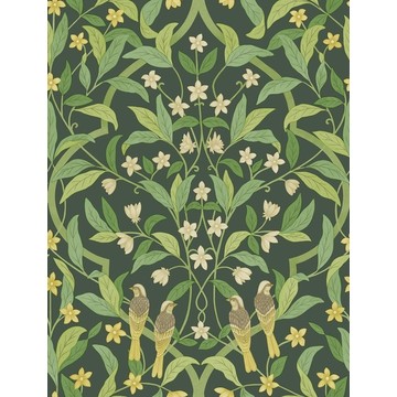 Jasmine &amp; Serin Symphony 117/10029