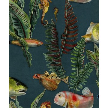 Bank of Fish Lagoon 9500022