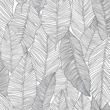 Leaves 155-139 011