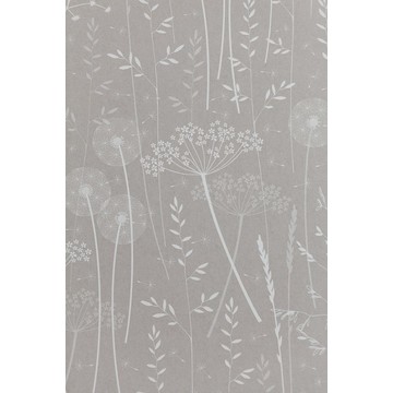 paper meadow mallow