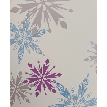Frozen Snowflake 70-541