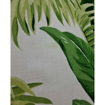 Palmetto clo