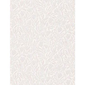 Krokus Whispering Beige - NV231051