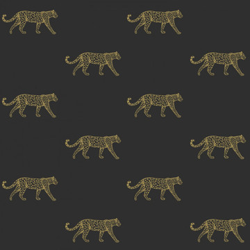 City Chic Panthers 353-347 686