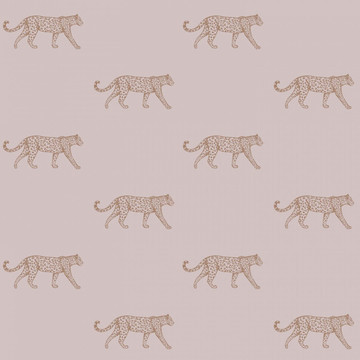 City Chic Panthers  353-347 729