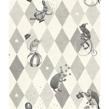 Circus Corner Graphite R18043