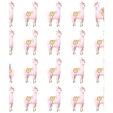 Alpaca Rebel Pink R18131