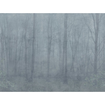 Skog Misty Blue S10106 (kuvatapetti)