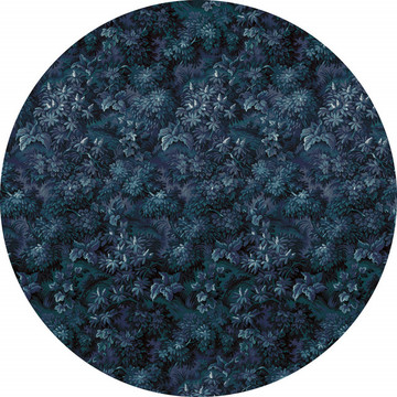 Azul D1-038 tarra