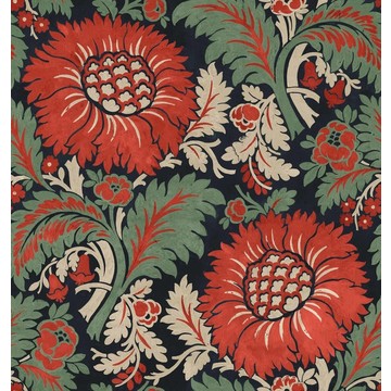 Chinese Damask Sage D00101