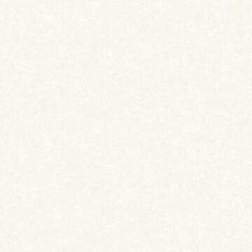 Concrete 200101 / Concrete Gloss 200301