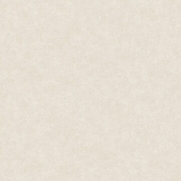 Concrete 200102 / Concrete Gloss 200302
