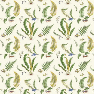 Ferns Emerald BW45122/1