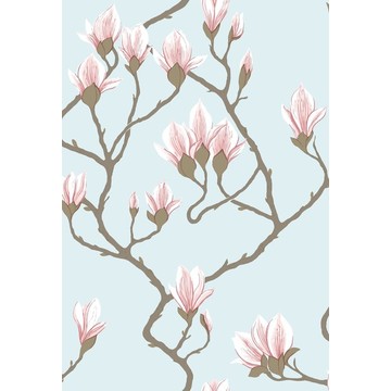 Magnolia 72/3011
