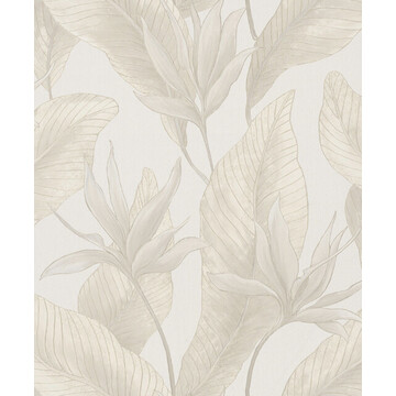Muse 36462