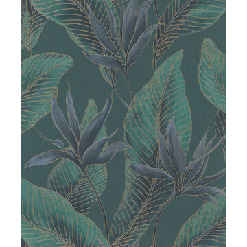 Muse 36466