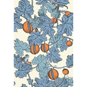 Frutto Proibito 114/1003