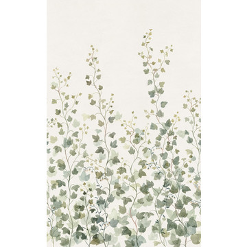 Ivy Green S10484 (kuvatapetti)