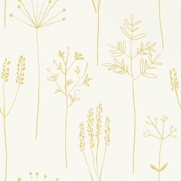 Stipa Honey 112021