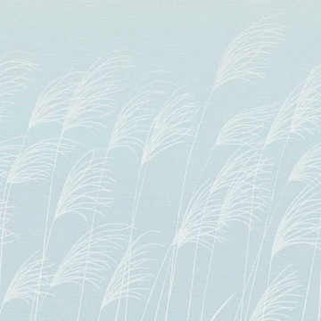 Miscanthus Sky/Celestial 113232 (paneeli)