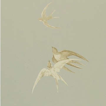 Swallows Silver DVIWSW104