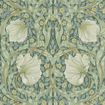 Pimpernel Privet/Slate 216472 (210389)