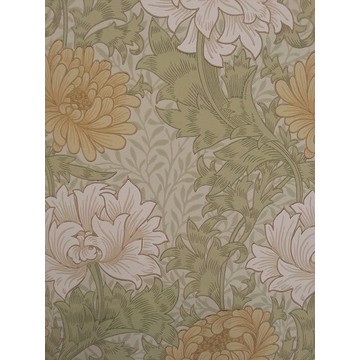 Chrysanthemum Pale Olive 212545