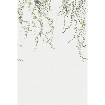 Aralia Moss Green 640-04 (kuvatapetti)